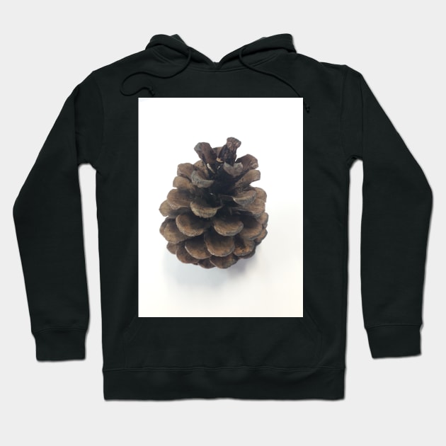 Pinecone Hoodie by diffrances